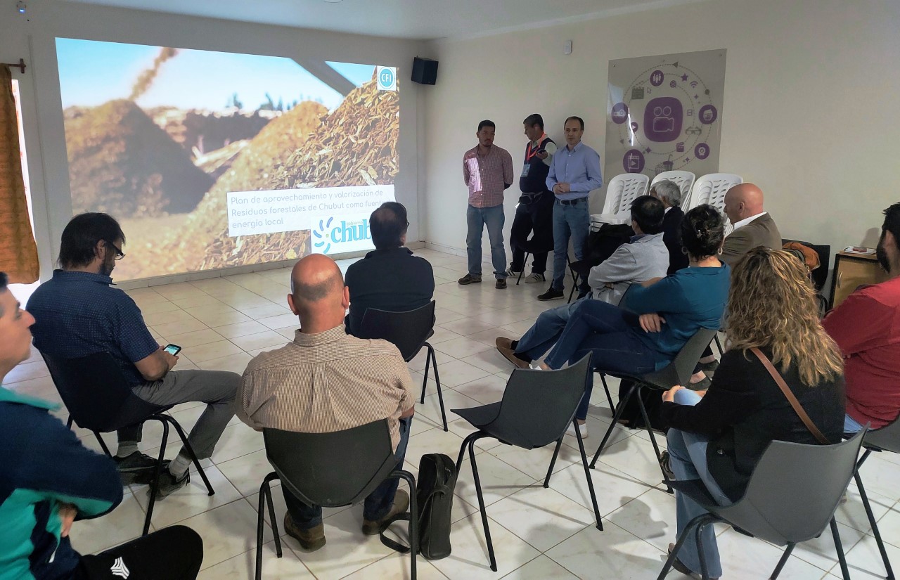 El Gobierno presentó ante Intendentes de la Cordillera el proyecto para generar energía renovable a partir de desechos forestales 