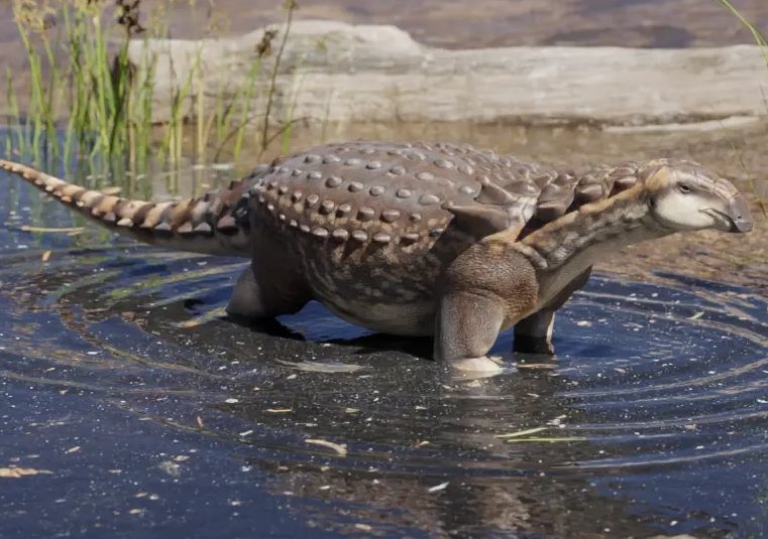 Río Negro: Encontraron restos óseos de un dinosaurio bautizado como “Patagopelta Cristata”