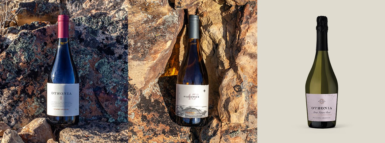 Entre los vinos top que marcaron tendencias en 2022 en Argentina, hay uno de Chubut que se produce en Sarmiento