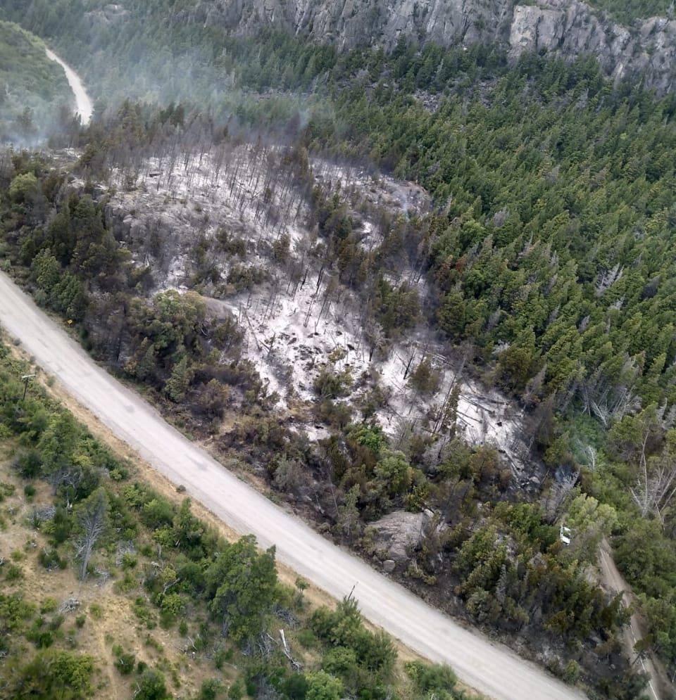 Provincia despliega operativo para controlar incendio en Los Cipreses