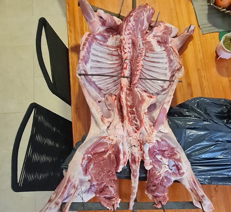 Trelew: Habían comprado un cordero para celebrar fin de año, ingresaron a su casa y se lo robaron