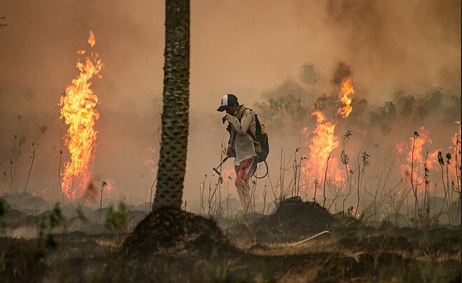 Durante 2022 todas las provincias argentinas registraron incendios forestales y Chubut quedó en el top 3 de los distritos con mayor cantidad de hectáreas quemadas