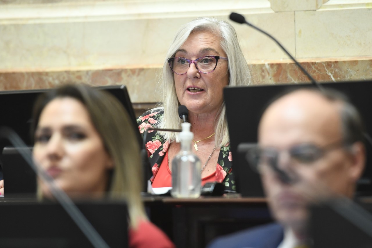 Terenzi propuso que el 2023 sea el “año del 40° aniversario de la recuperación democrática”