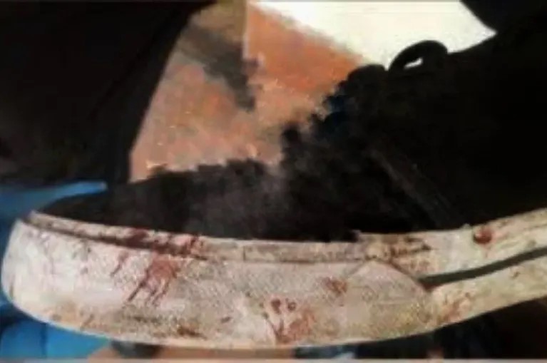 Según los peritos, Fernando Báez Sosa tenía una marca en el maxilar por una patada y la huella es compatible con la zapatilla de Máximo Thomsen