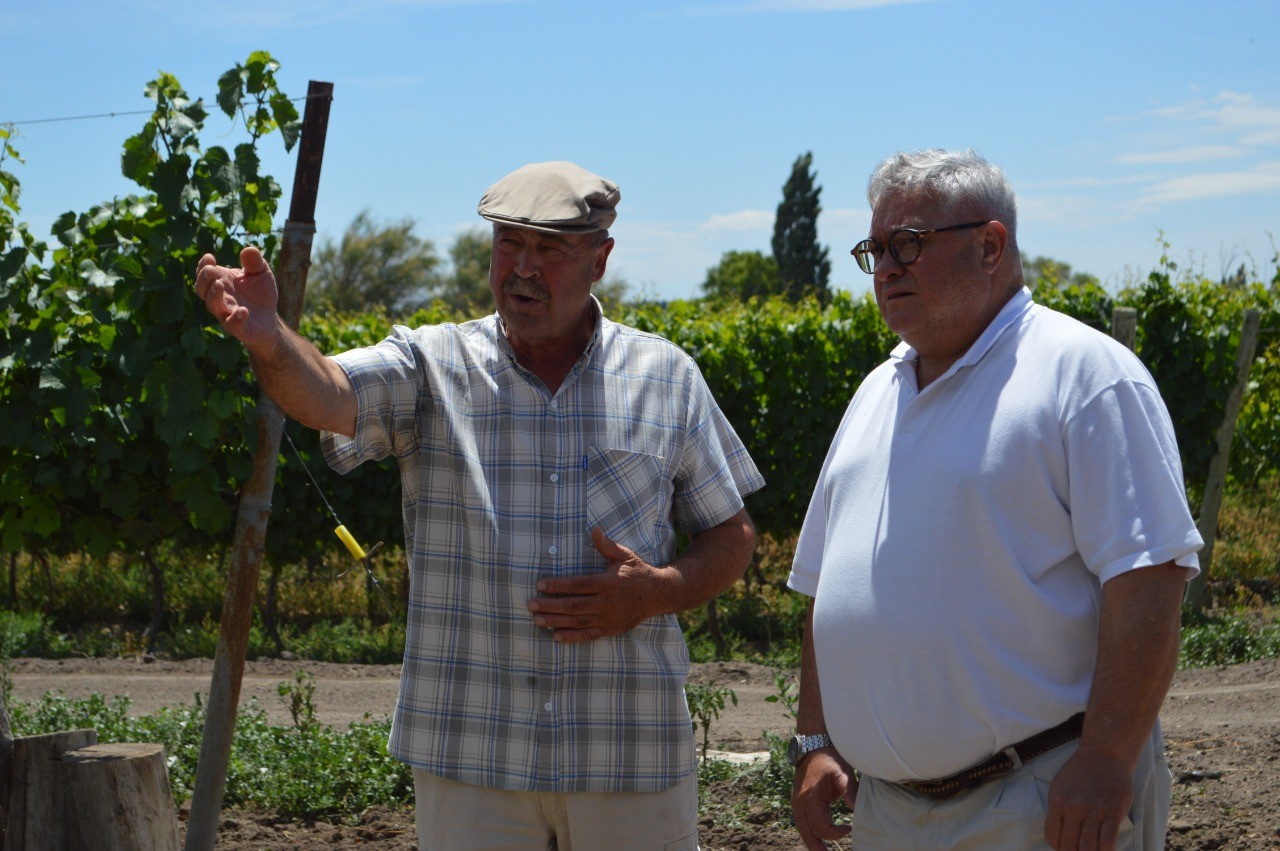 Unión de Viticultores Australes y Bardas del Sur, dos emprendimientos que fueron asistidos por Provincia, ya producen 7.000 botellas de vino al año