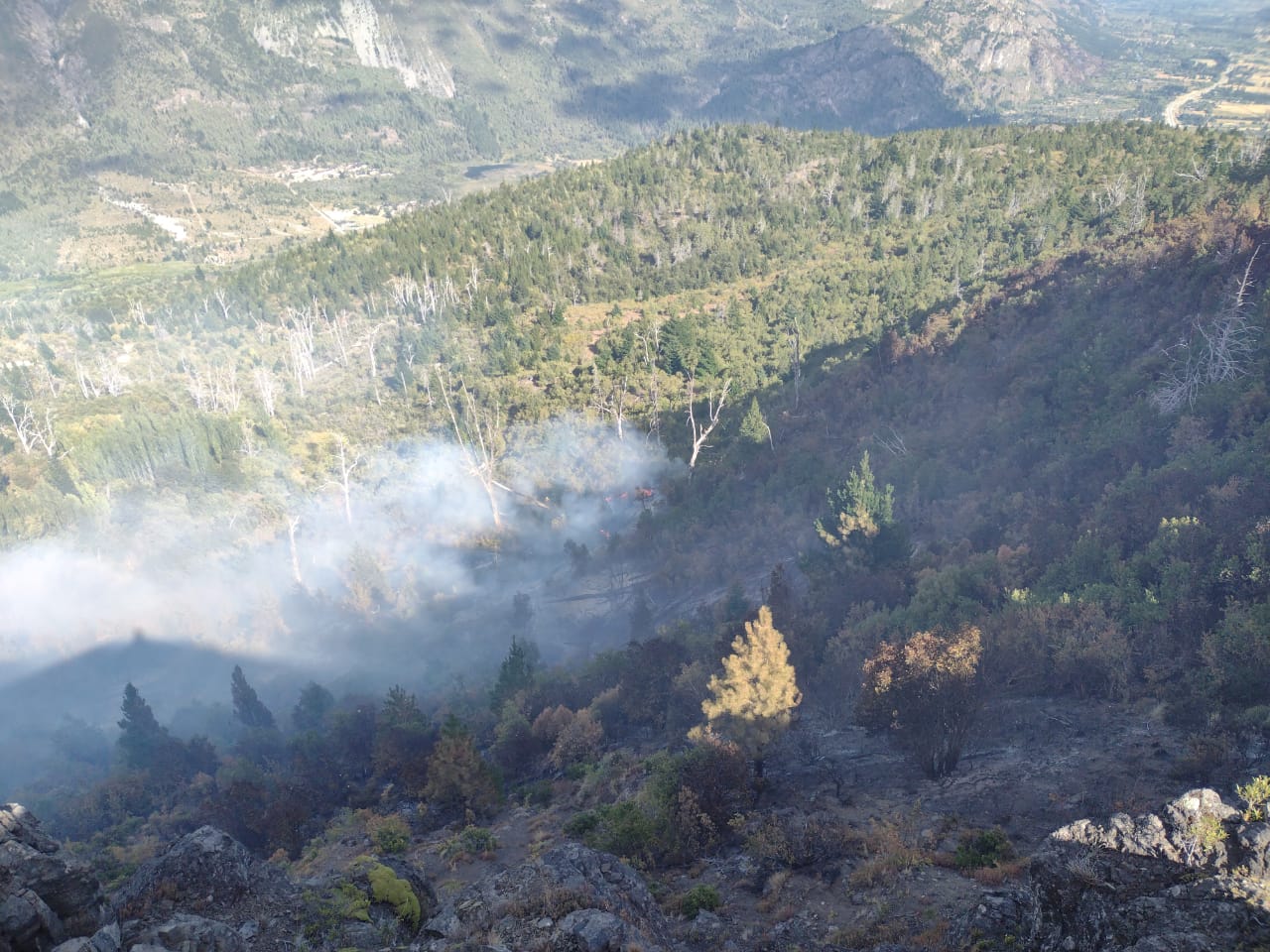 Más de 120 personas y medios aéreos participan de los trabajos para controlar el incendio en la zona de Epuyén
