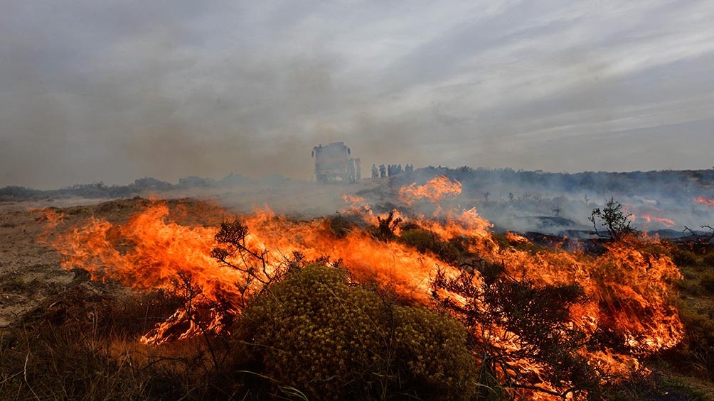Incendios en Chubut: Se desató un nuevo foco ígneo cerca de Península Valdés