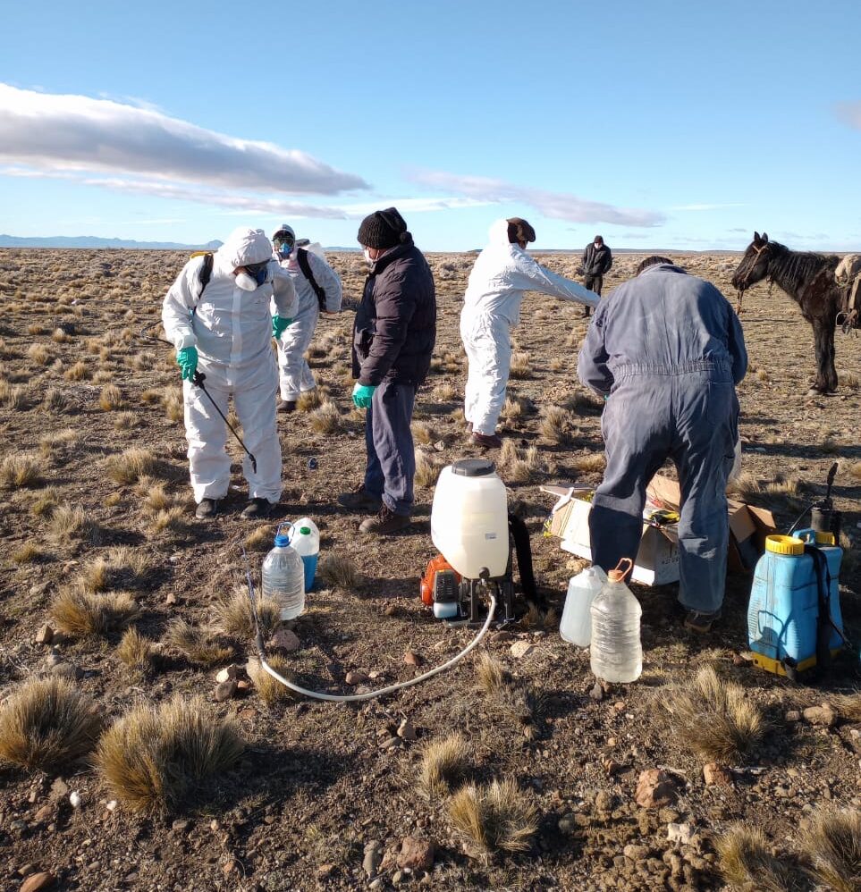 Emergencia Agropecuaria: El Gobierno de la Provincia convoca a productores afectados por plaga tucura a presentar la declaración jurada