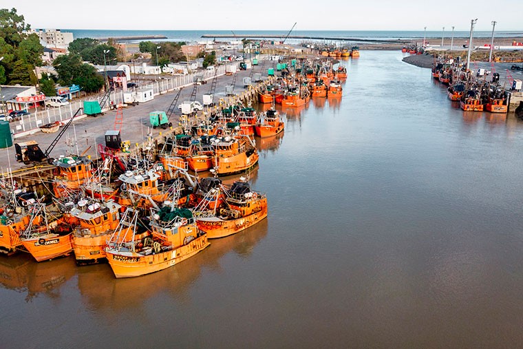 La Flota Amarilla advirtió que aún “no tienen una posición tomada” sobre del debate por la cuotificación de langostino  