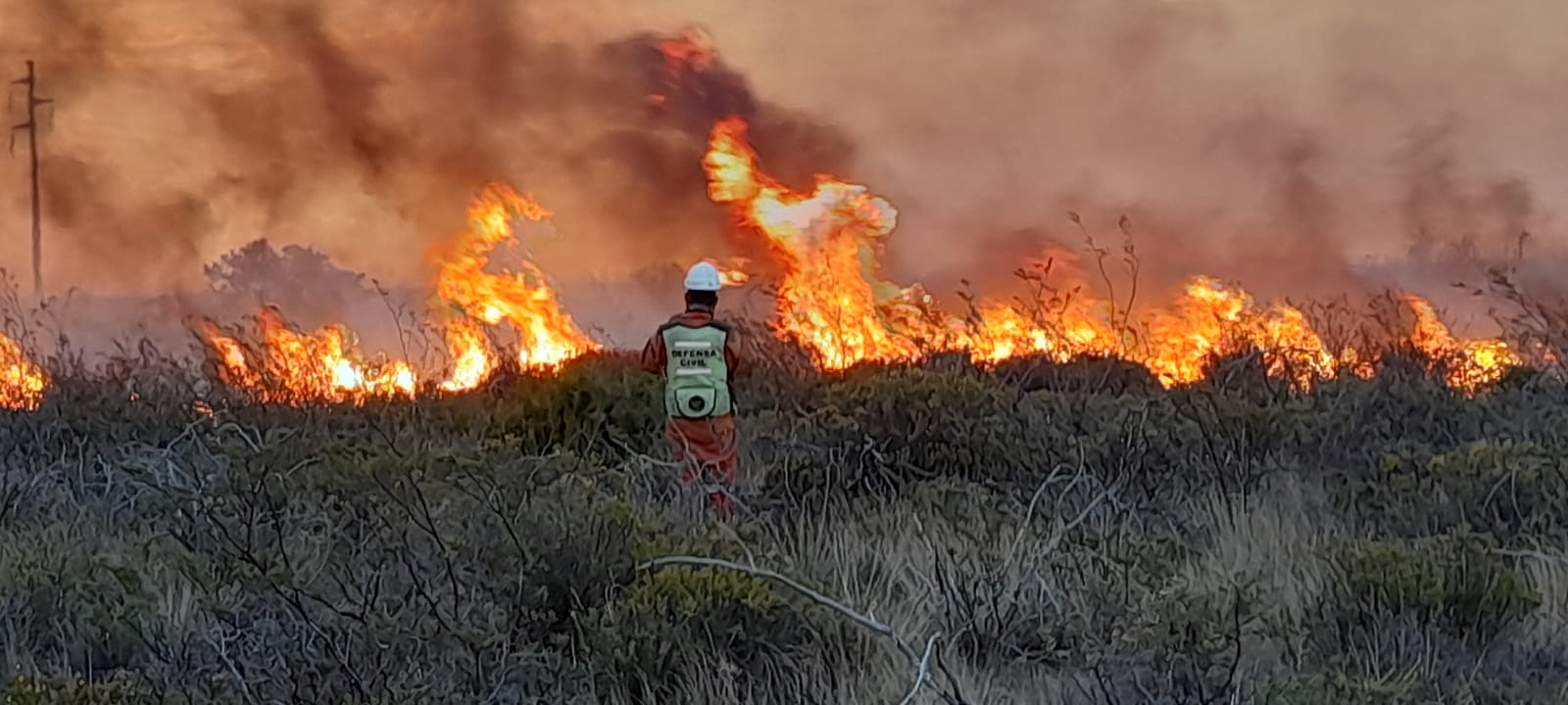El incendio en Puerto Lobos está contenido y afectó a 10.000 hectáreas