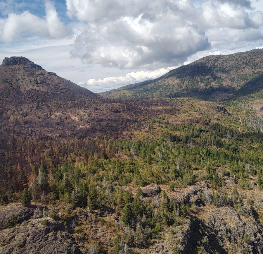 Tras un arduo operativo, brigadistas controlaron incendio en la zona de Epuyén
