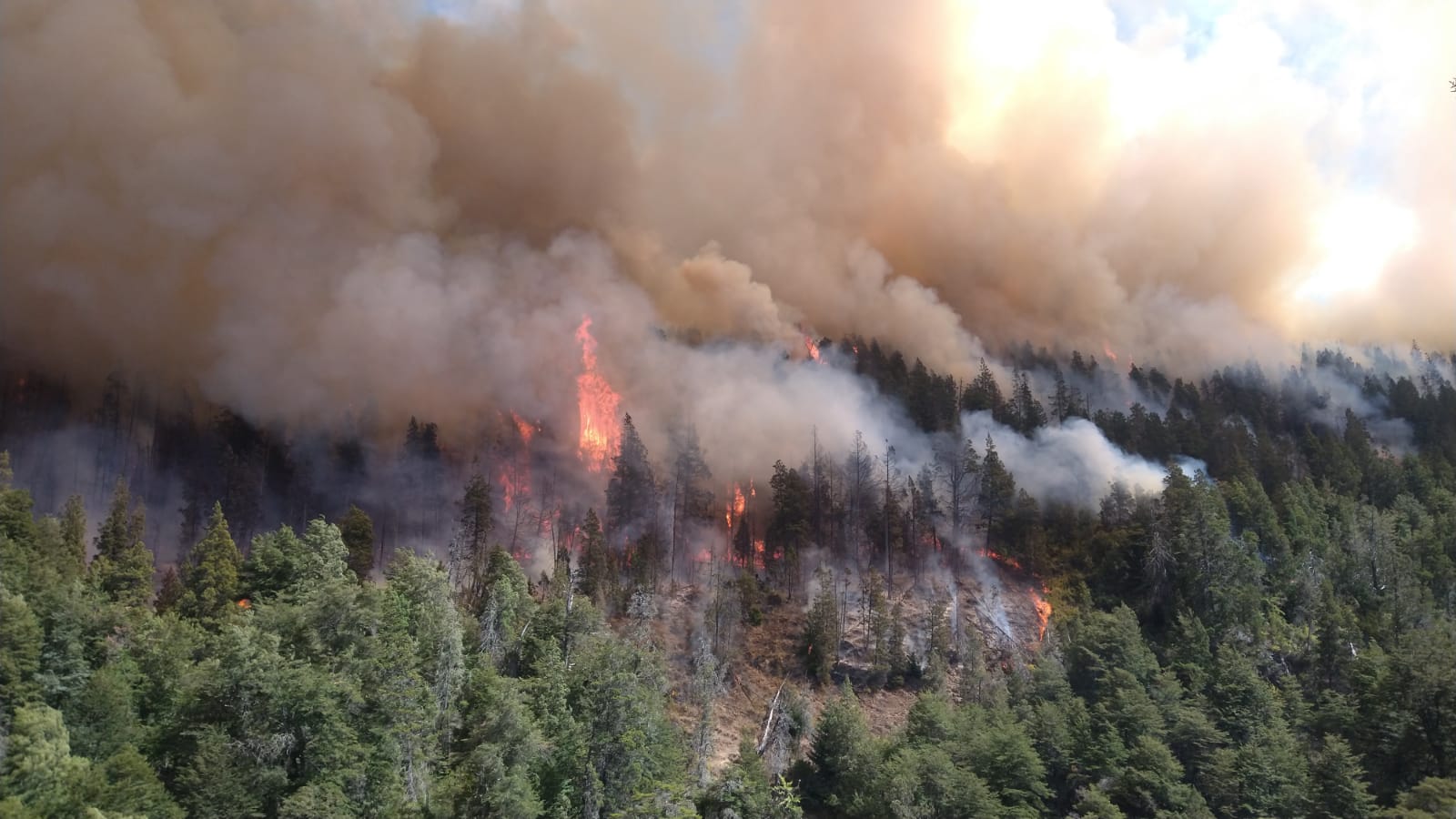 Incendios forestales: Continúa activo el incendio de El Bolsón