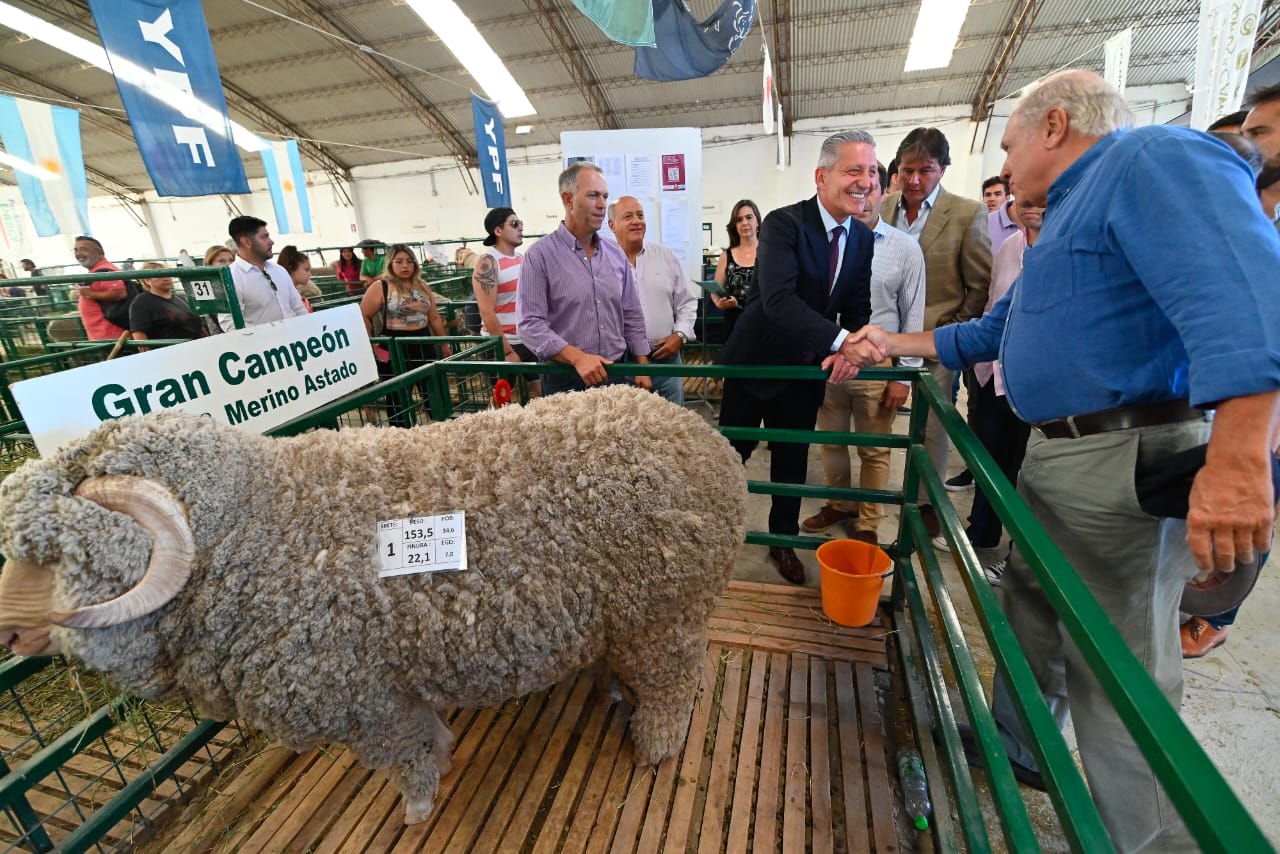 Ganadería: “Entra en vigencia una Ley que dará mayor visibilidad a una actividad económica genuina, fundacional y motor del desarrollo provincial”