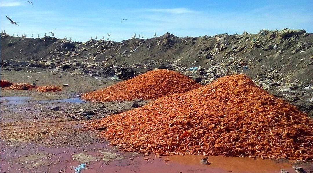 Rawson: La Municipalidad busca agilizar el pago de las multas por infracciones ambientales y no descarta aumentos para generar concientización