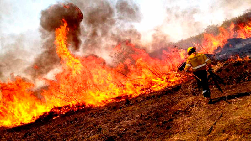 Santa Cruz es la única provincia que registra incendios forestales activos en el país
