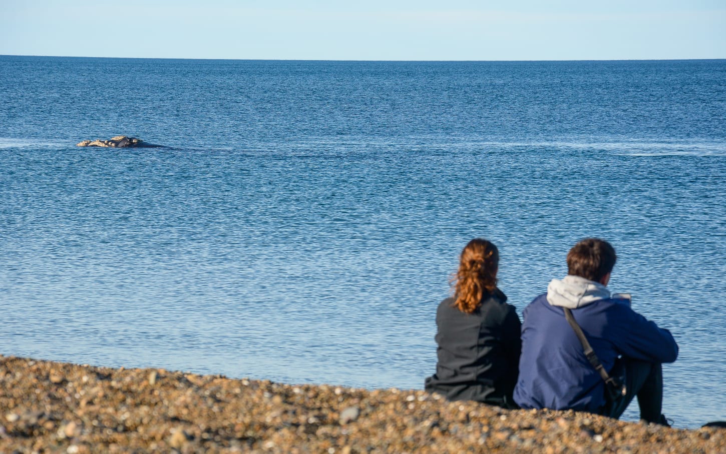 Madryn: Cerca de 3.000 turistas visitaron la ciudad durante el fin de semana largo, alcanzando picos de ocupación del 79% en algunos rubros