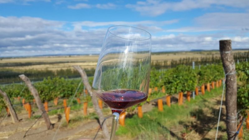Un organismo nacional reconoció a Sarmiento, donde se elabora el vino de alta gama Otronia, como Indicación Geográfica vitivinícola