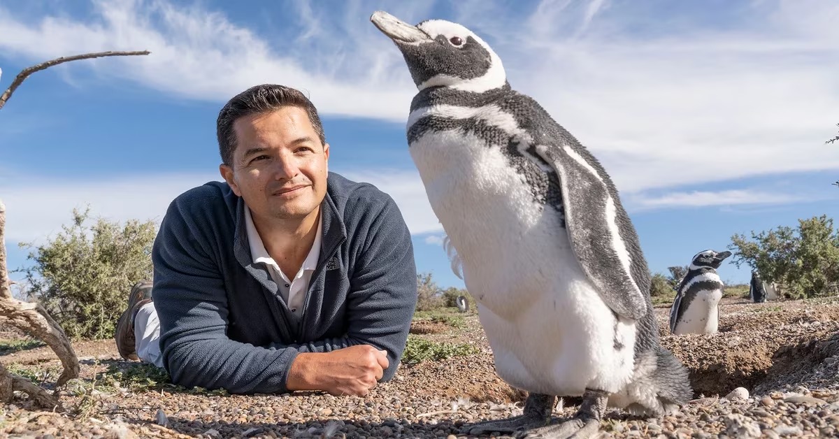 Histórico: Un chubutense ganó el “Nobel” de la conservación animal