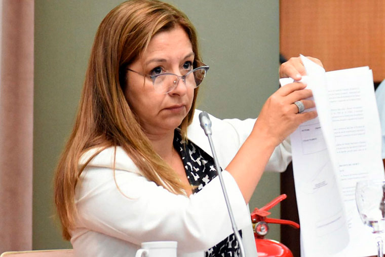 El proyecto de Boleta única de Papel ya está en la Legislatura de Chubut: Cómo se implementaría, cuáles son los requisitos y de qué manera votaría el elector