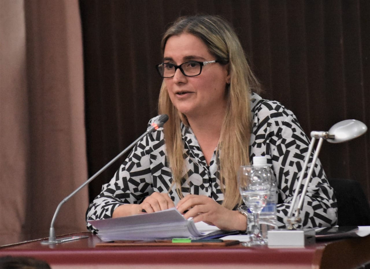 Baskovc presentó en la Legislatura la adhesión a la “Ley Lucio” que busca detener la violencia en las infancias