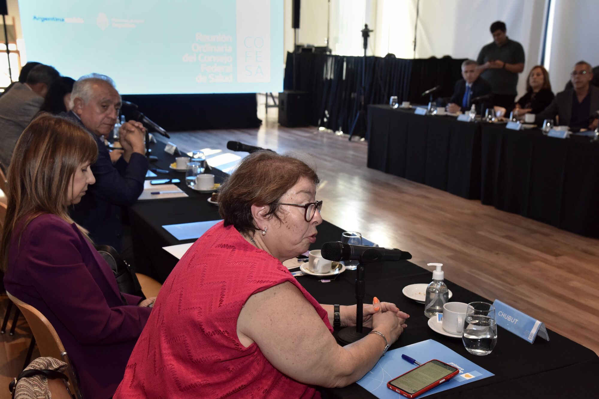 Chubut participó de reunión del Consejo Federal de Salud centrada en salud y cambio climático