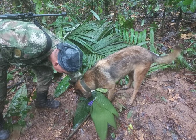 Más de 150 militares participan en la búsqueda de niños en la selva de Colombia