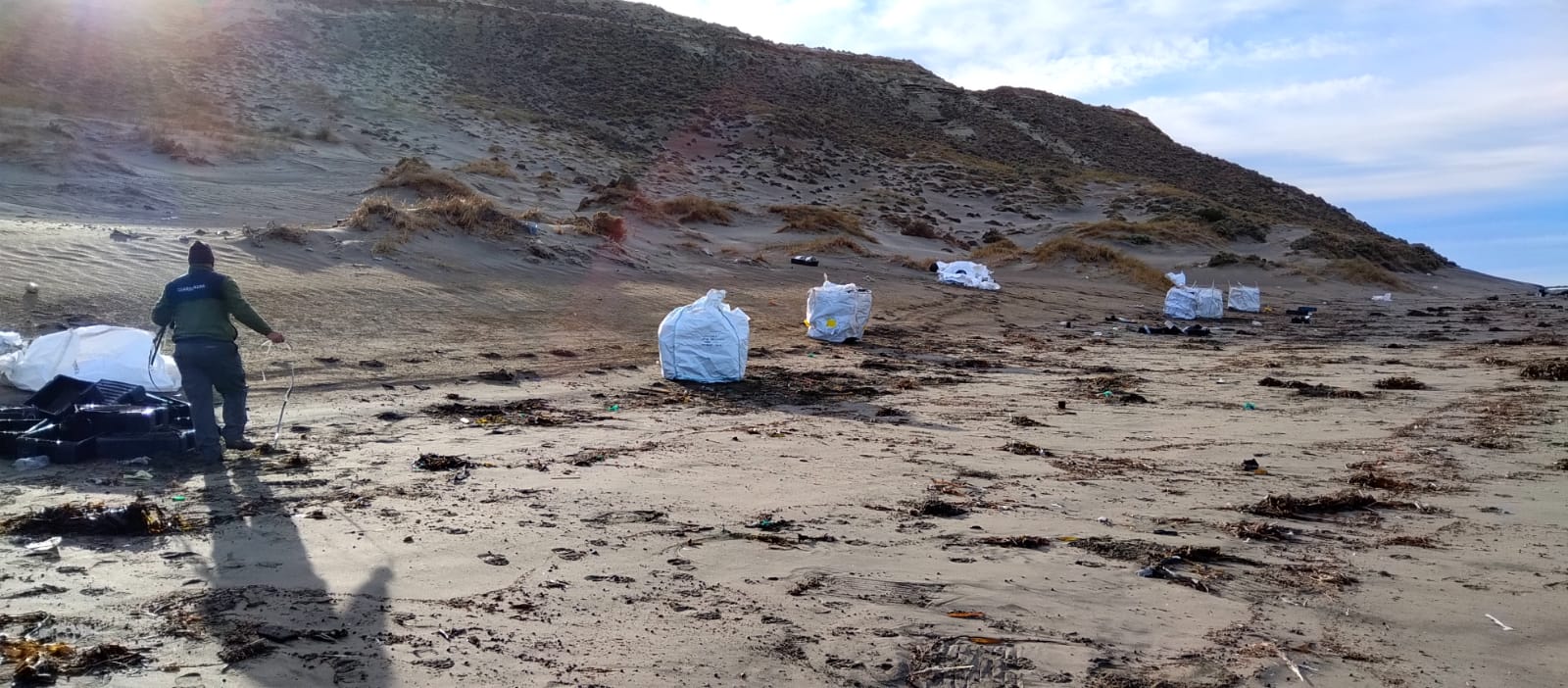 Chubut: El Gobierno comenzó con la limpieza de costas en el Área Natural Protegida Península Valdés