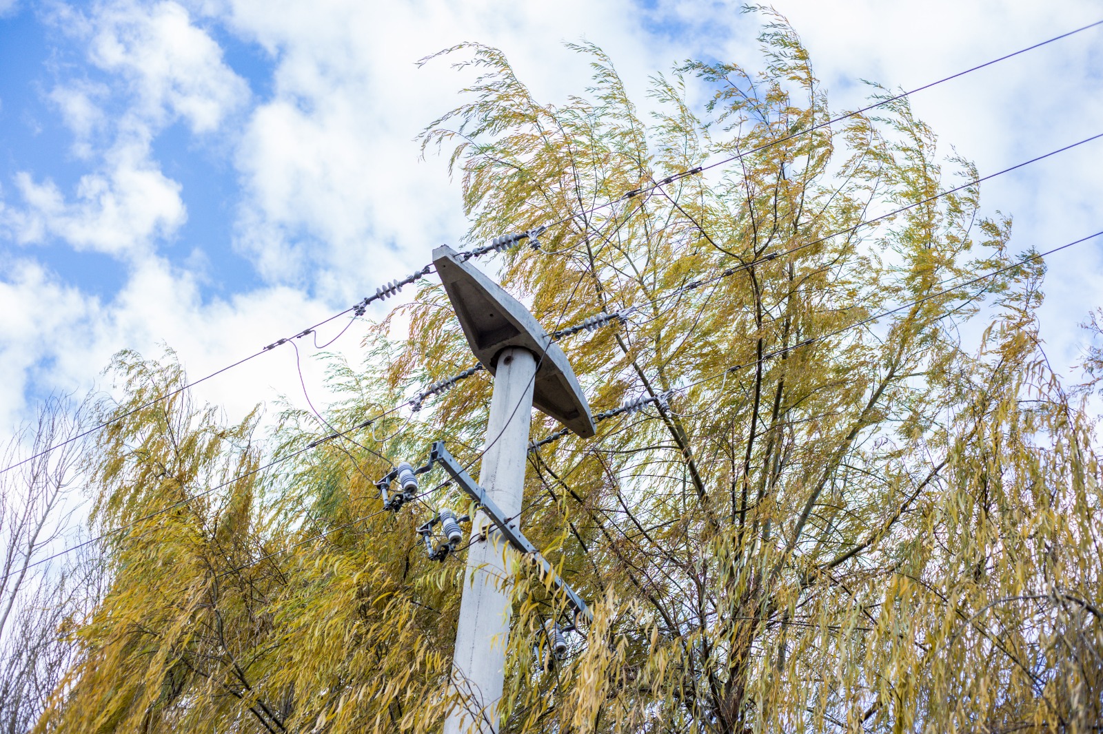 Problemas de energía en la zona rural: La Cooperativa de Trelew pide trabajo en conjunto con Municipio y Provincia