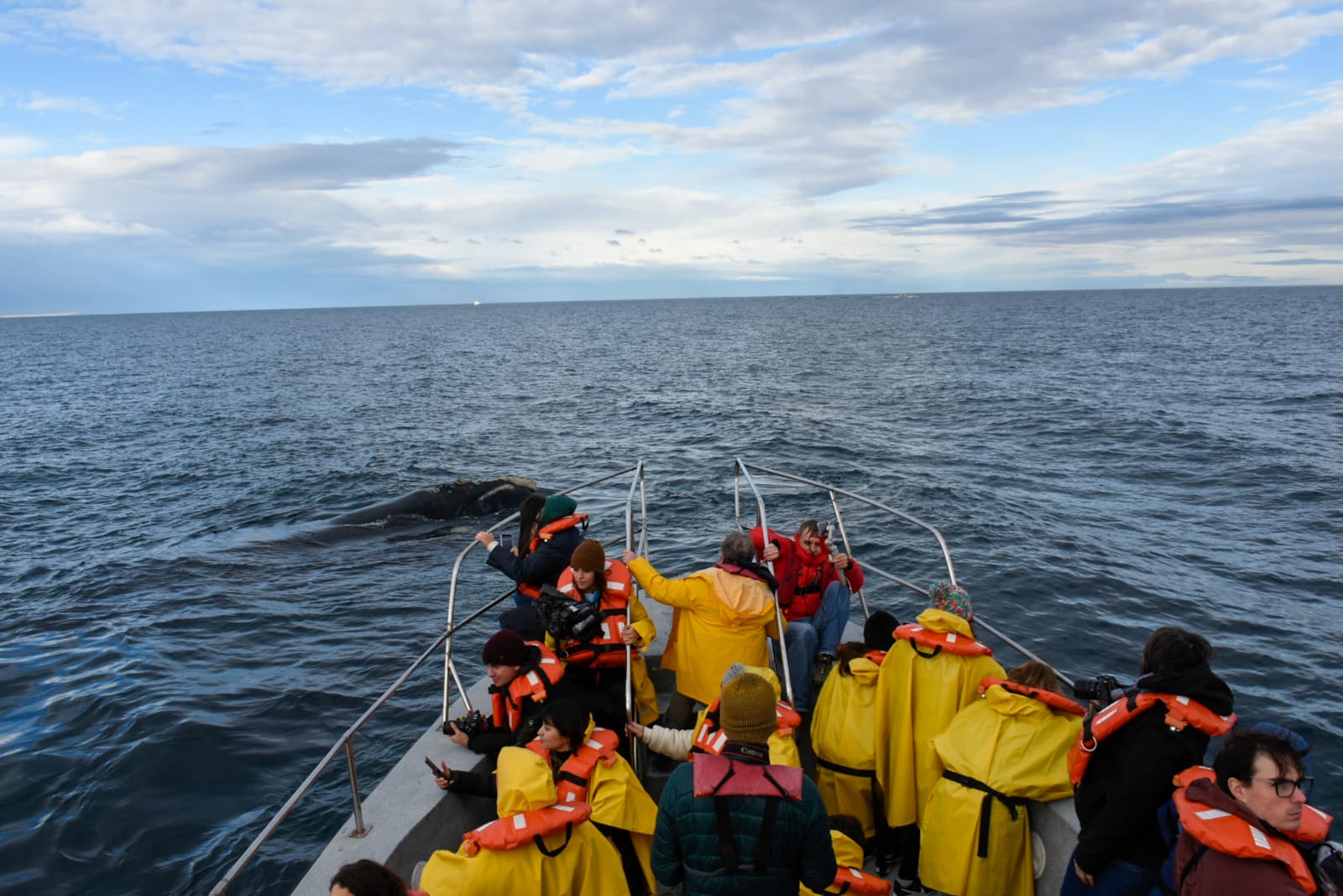 Medios de comunicación regionales y nacionales realizaron un viaje de prensa para difundir la Temporada de Ballenas 2023