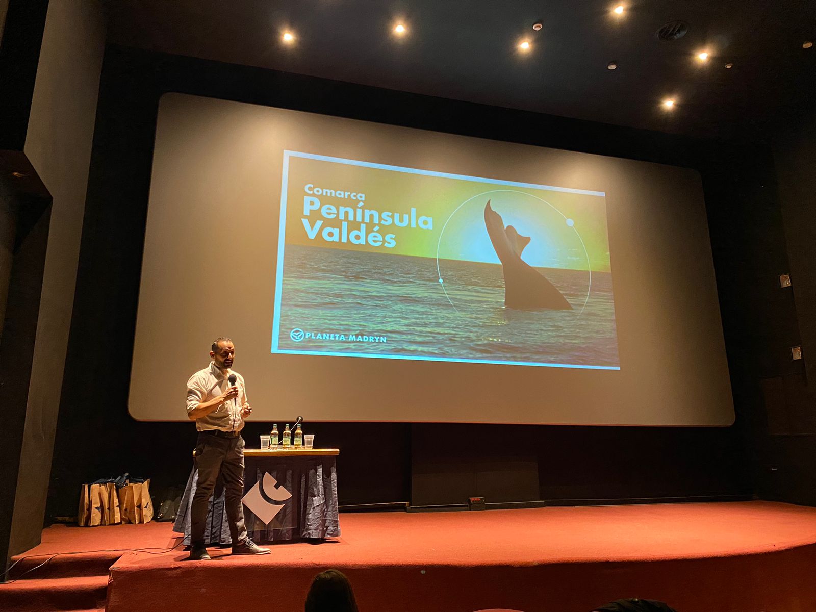 Vidriera turística: Madryn llevó su temporada de Ballenas a Mar del Plata y acelera gestiones para robustecer la conectividad del “Corredor Atlántico”