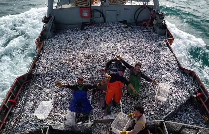 La Flota Amarilla destacó el comienzo de la temporada de anchoa en Chubut en la que trabajarán más de 500 personas