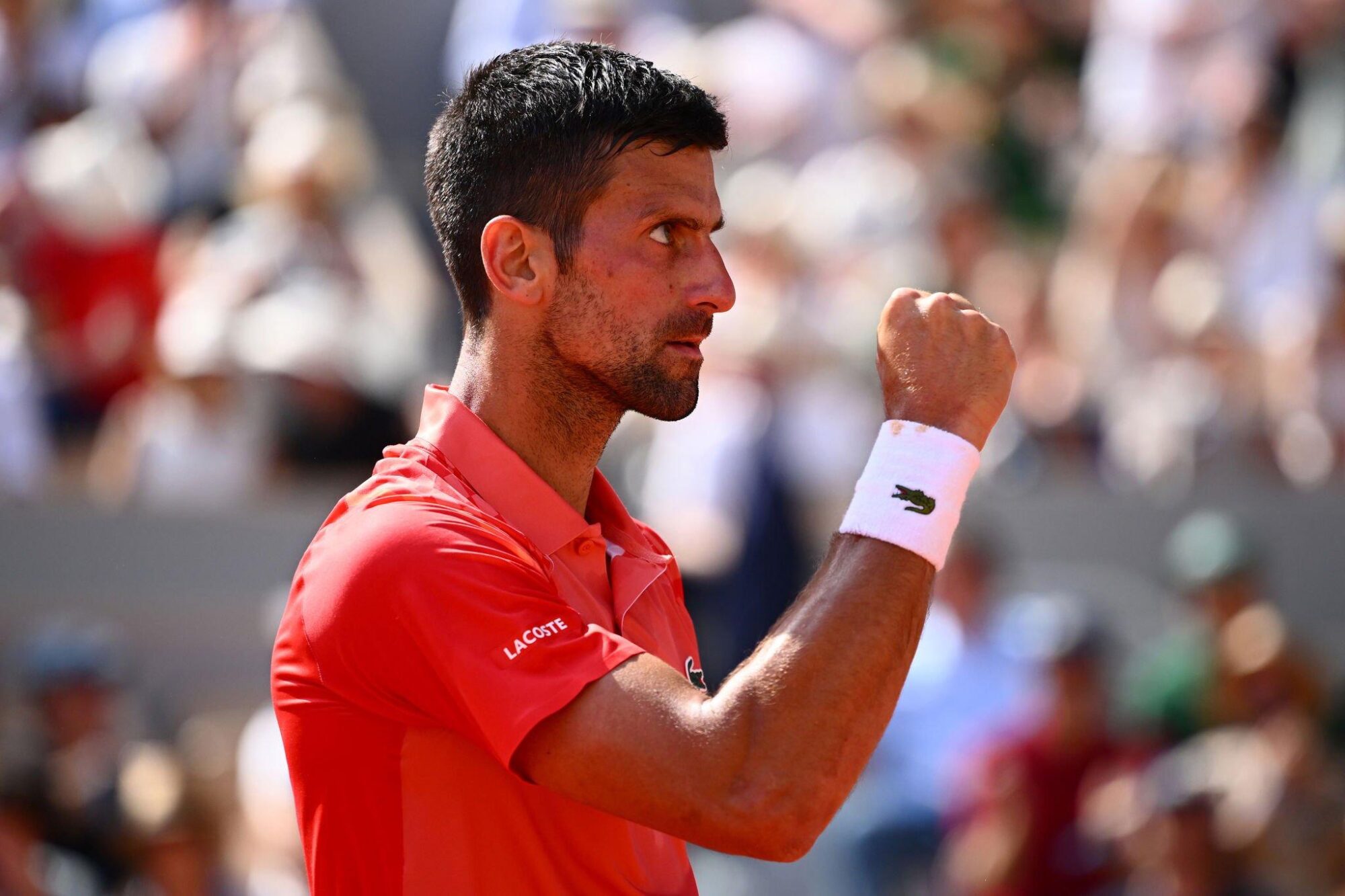 Djokovic venció a Alcaraz y se metió en la final de Roland Garros