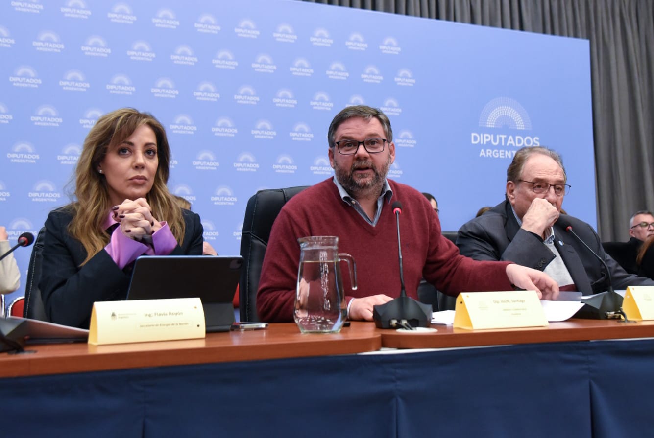 Igon invitó a Royón al debate del proyecto de promoción del GNL en Diputados