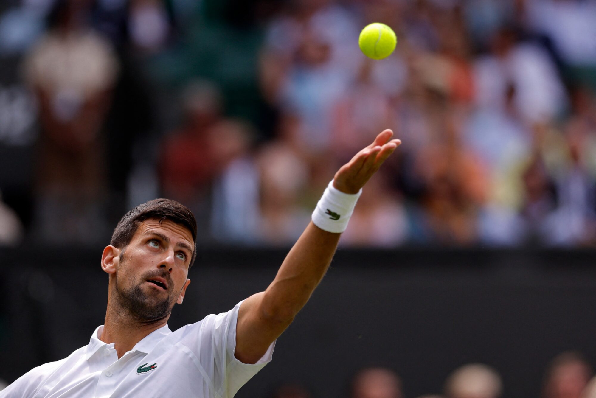 Wimbledon: Djokovic debutó con victoria en sets corridos ante Cachin