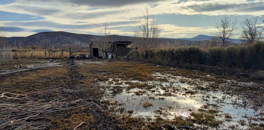 Neuquén declaró Estado de Emergencia y Desastre Hídrico, Climático y Agropecuario por las intensas lluvias durante junio