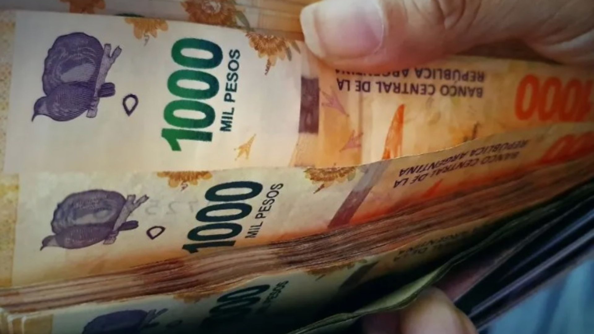 Alivio económico: Quiénes cobrarán y desde cuándo el bono de 60.000 pesos