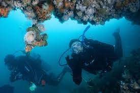 Este miércoles comienza en Puerto Madryn la semana del buceo