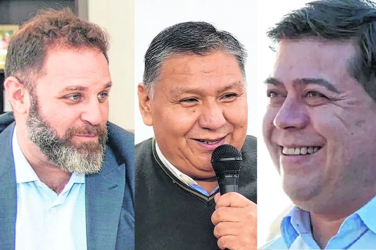 Elecciones PASO en Chubut: Ocho listas compiten por las tres bancas en Diputados que dejarán Igón, Hernández y Taccetta