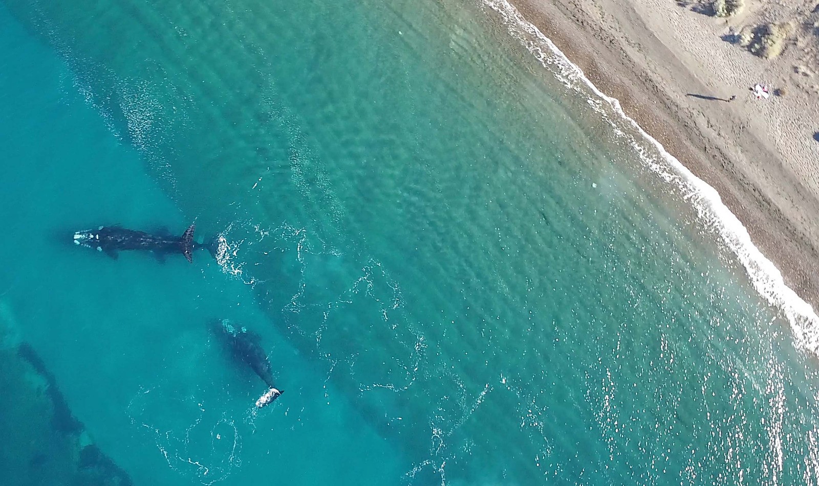 Chubut: Continúa vigente una línea de crédito por $ 150 millones para el sector turístico