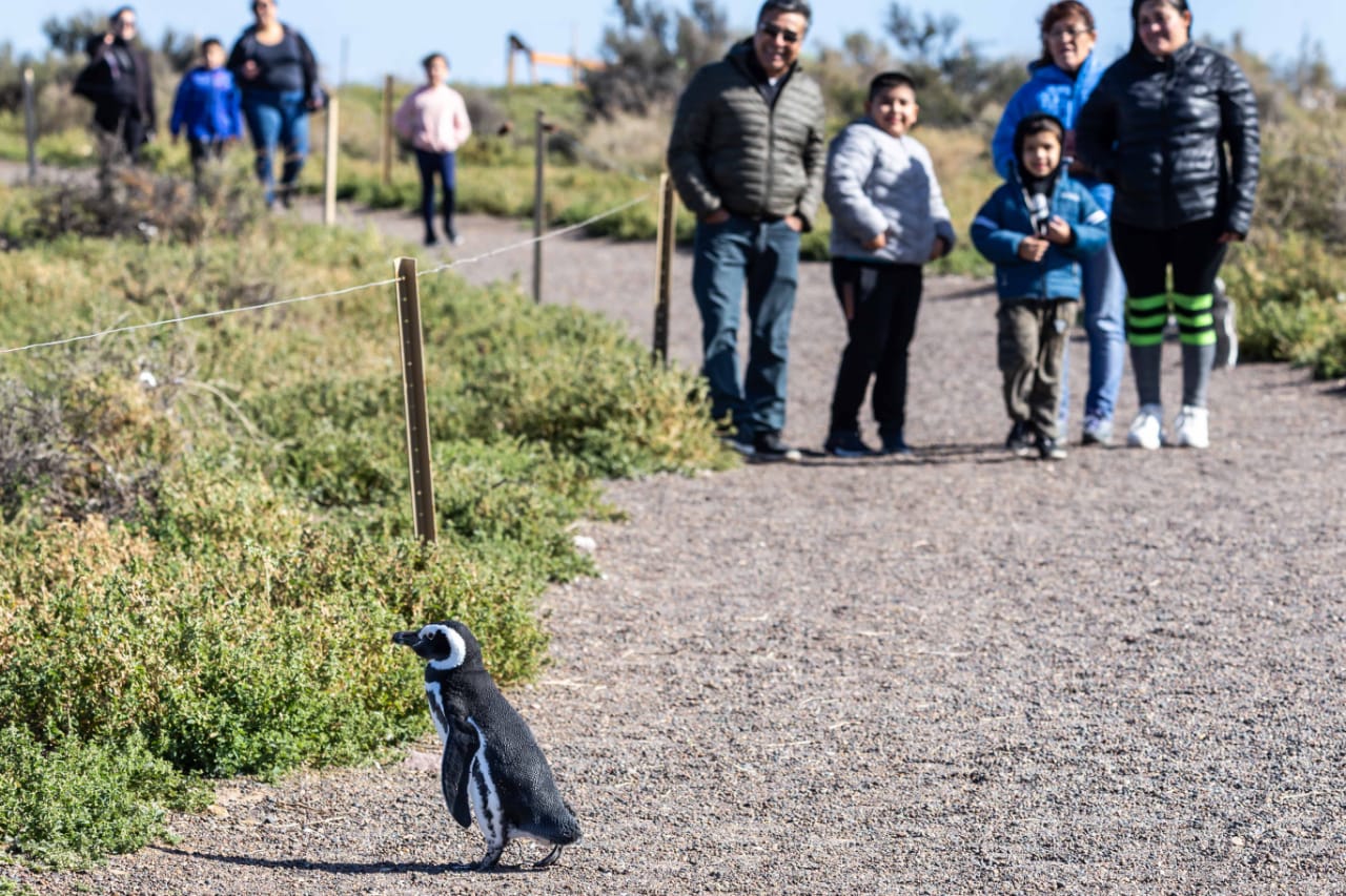 El impacto económico del fin de semana largo en Trelew superó los 145 millones de pesos