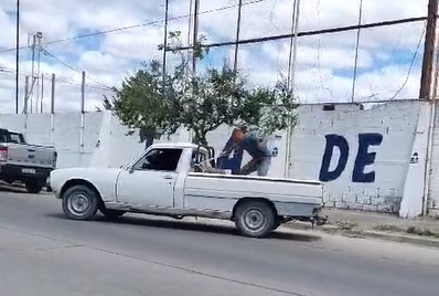Otro problema por gallos y gallinas en Puerto Madryn: Le rompió el auto a su amigo en plena vía pública porque no le daba huevos