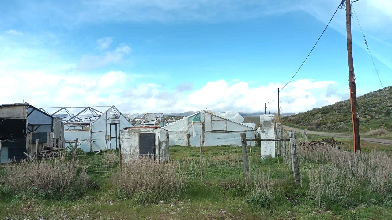 Chubut: El Gobierno reconstruirá invernáculos en desuso en Tecka para abastecer de alimentos a toda la zona