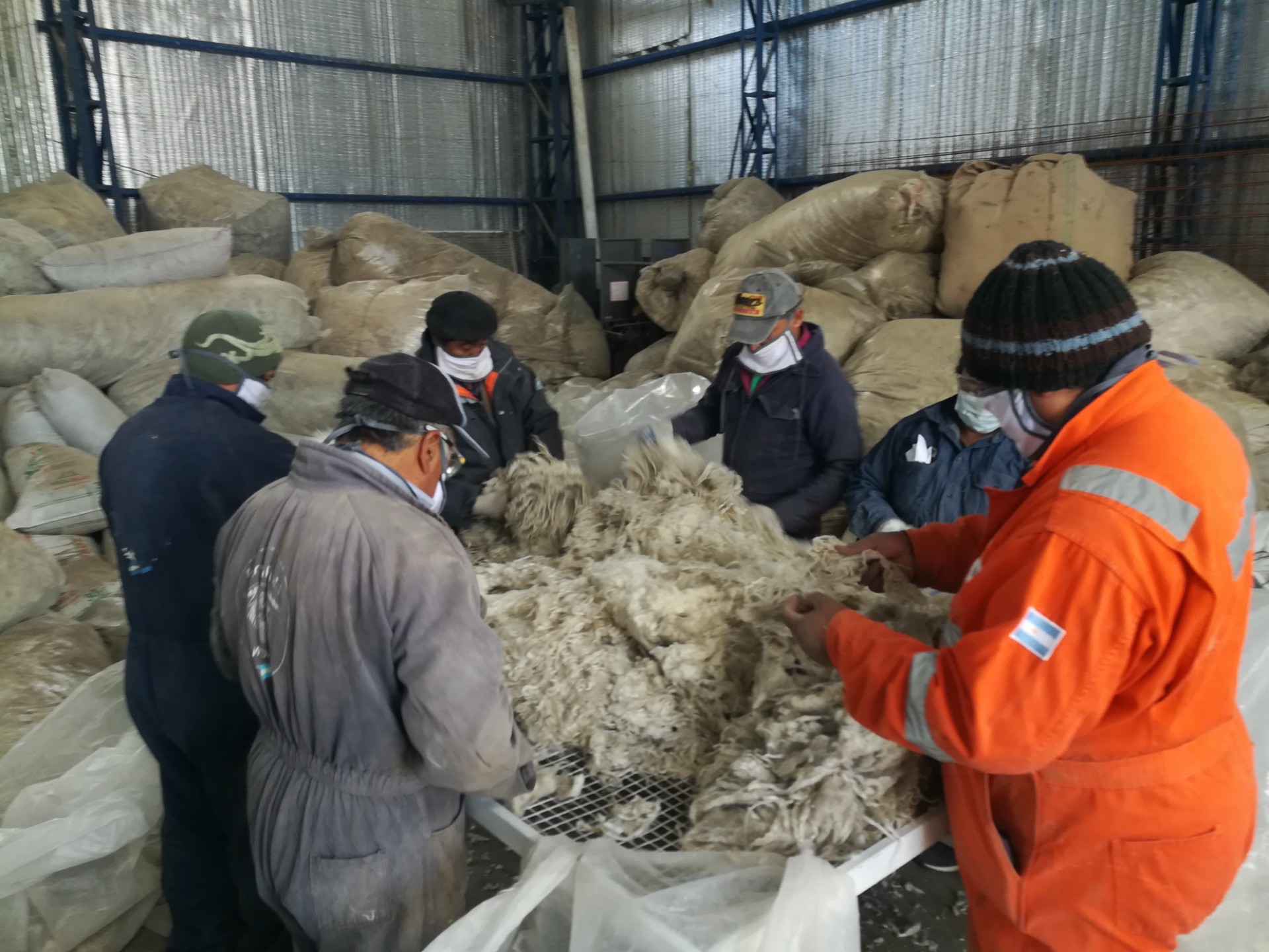 Meseta Central: Trasladaron 13.800 kilos Fibra Mohair a un galón de acopio en Paso de Indios
