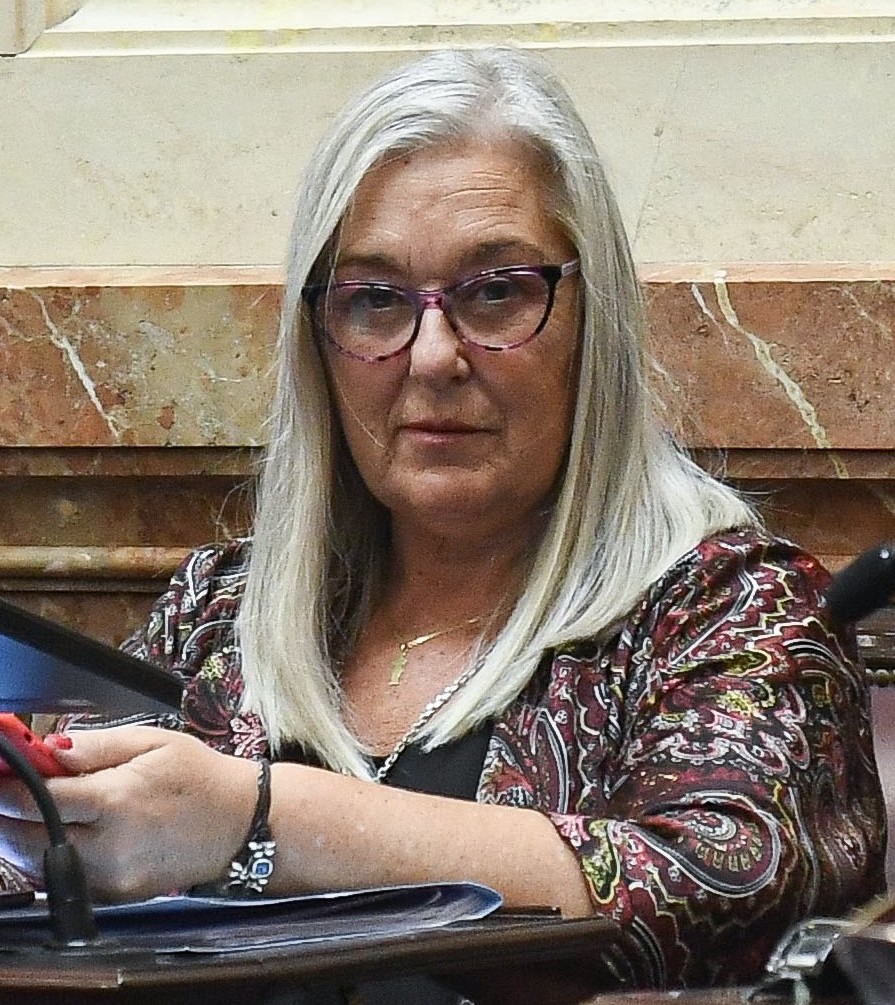 Por iniciativa de Terenzi, el programa “el Senado va a la Escuela” llega a Chubut