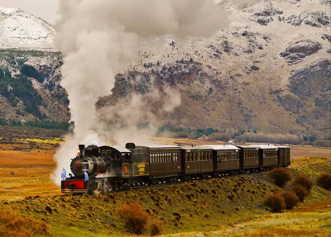 “La Trochita” será el primer tren turístico de la Argentina con servicio de Pet Friendly