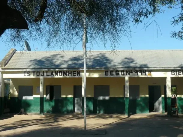 Tragedia: Una nena de 12 años murió luego de caer de un árbol en una escuela