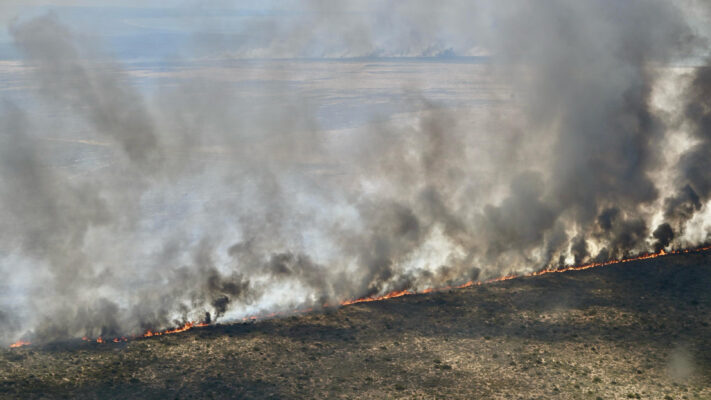 Chubut: El incendio rural en Puerto Lobos sigue activo y ya consumió 18.000 hectáreas