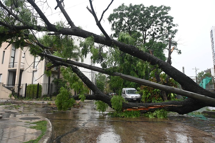 “Tengo miedo”, uno de los hashtags más usados en redes por el temporal