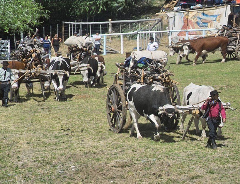 Matías Taccetta confirmó que vuelve la Fiesta del Carrero a Alto Río Percy: Cuándo será