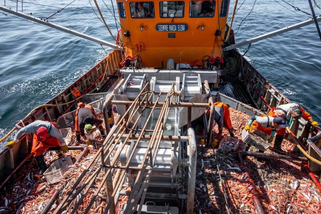 La dirigencia política, empresarial y sindical de Chubut rechaza cambios en la actividad pesquera